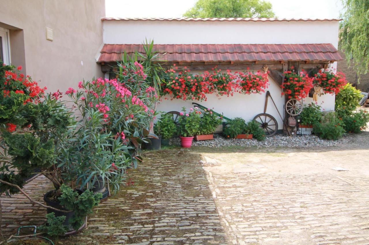 La Chambre Aux Hirondelles Ittenheim Экстерьер фото